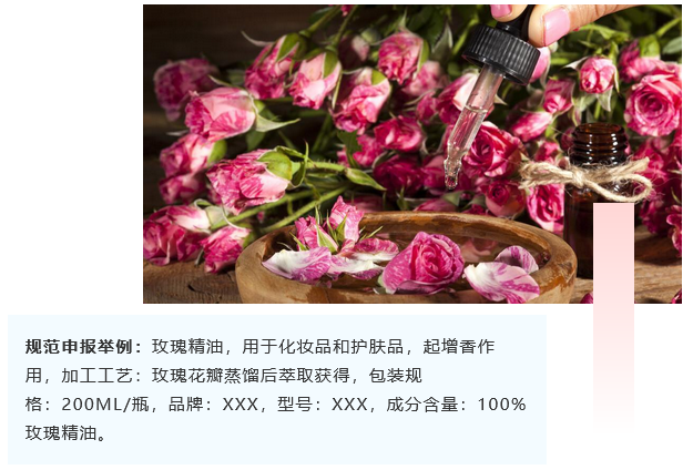 <a href='http://www.jhshkj.com' title='危險品海運' >危險品海運</a>