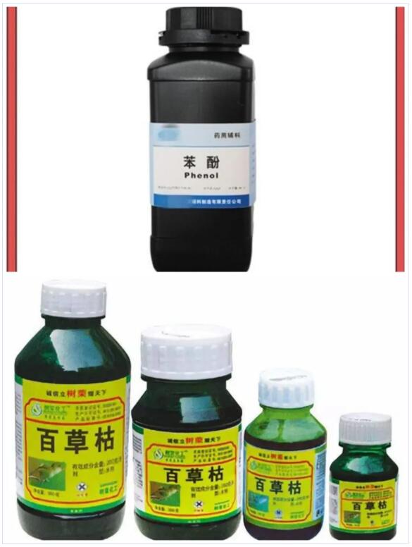 <a href='http://www.jhshkj.com' title='國際貨運代理' >國際貨運代理</a>